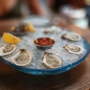 Oysters