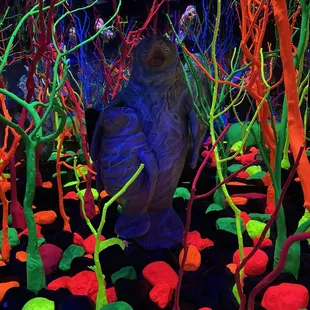 Underwater dimension