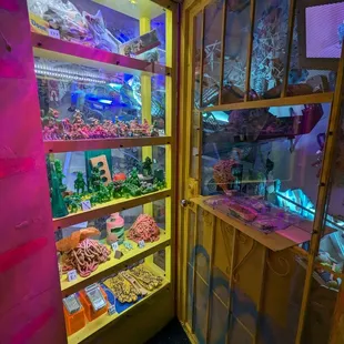 Available food from a vendor in the " Unreal"