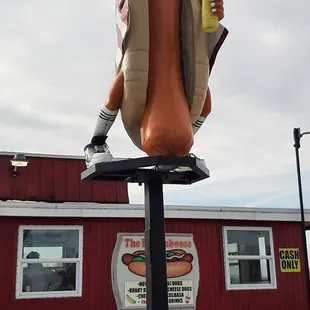 a hot dog with mustard and ketchup