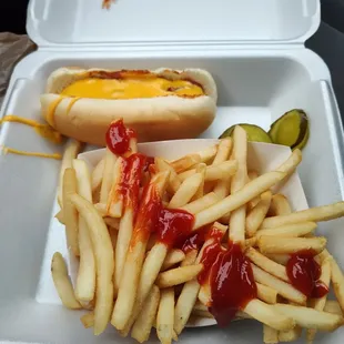 Chili cheese woofer, excellent fries, and the pickles from the condiment station were delicious