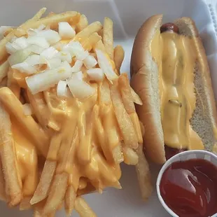 fries with cheese and cheese dog. I love to add onions.