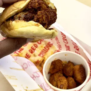 Chicken Sandwich (Spark spice lvl) and cheese curds.