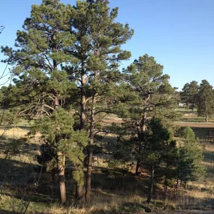 Beautiful country view