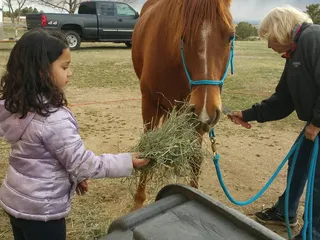 Rosie Mae Meadows Ranch