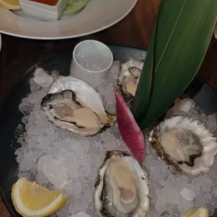 Oysters