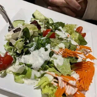 Side garden salad