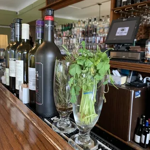 Fresh herbs shot, pre-Covid pandemic