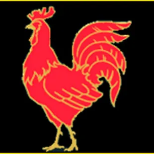 a red rooster on a black background