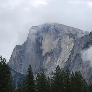 The Red Rooster Lodge is located 24 miles from Yosemite