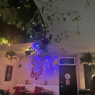 Cute plants/wall murals