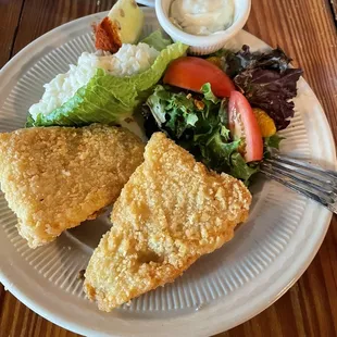 Fried Cod, Cole Slaw &amp; Side Salad