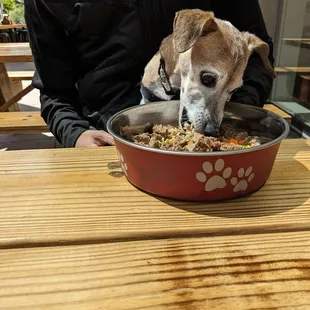 Burger, rice and veggies from the dog menu!