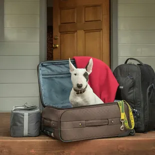 We are pet friendly at The Redwoods In Yosemite :)