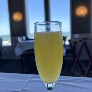 Mimosa