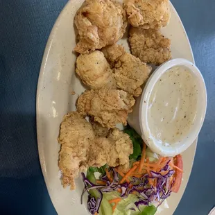 Alligator bites