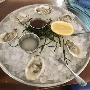 Oysters