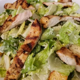 Caesar Salads