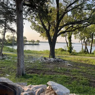 oysters and mussels, outside
