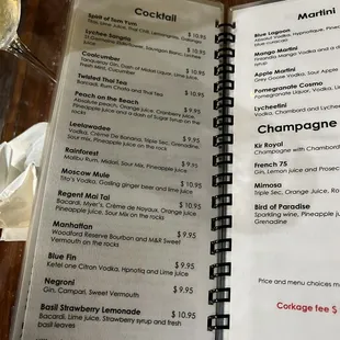 Drink menu (cocktails and champagne)