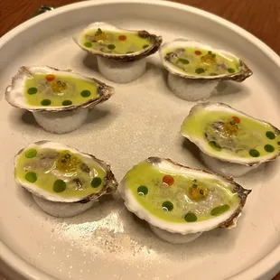 Oysters