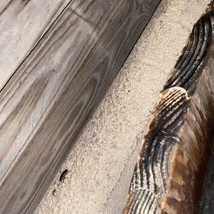 The Hemingway private tub