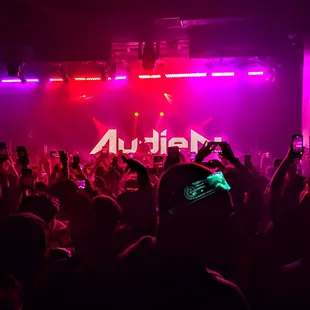 a crowd of people at a concert