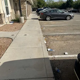 Small example on poor management. Dog feces, bird feces, trash, etc.