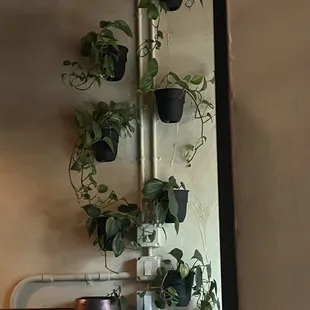 Decor inside front room.