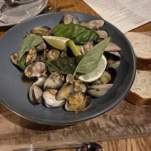 oysters, food, mussels, shellfish, oysters and mussels