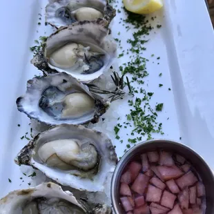 Oysters