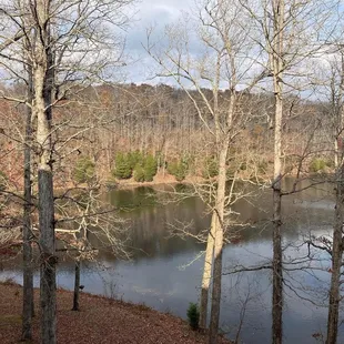 Our view during dinner