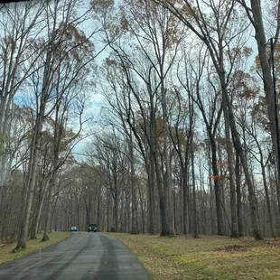 burritos and wraps, outside