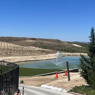 They're developing more and more!