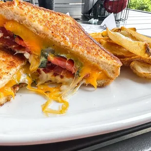 Gourmet grilled cheese with fries