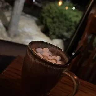 Hot Chocolate with Marshmallows