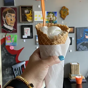 Vegan toasted coconut ice cream | The Revolution Ice Cream Co | Brandon FL