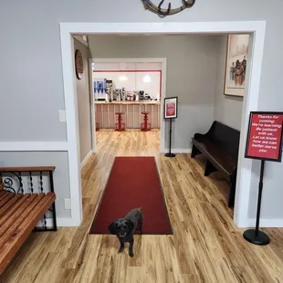 a dog standing in the doorway