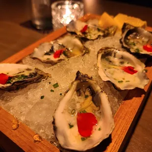 Oysters