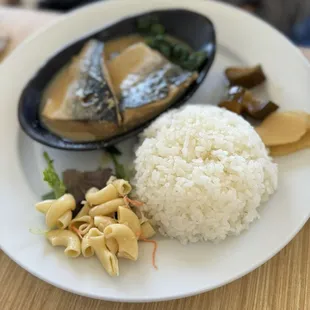 Mackerel