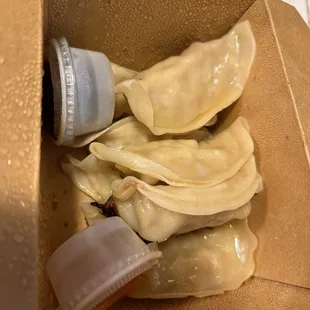 Gyoza