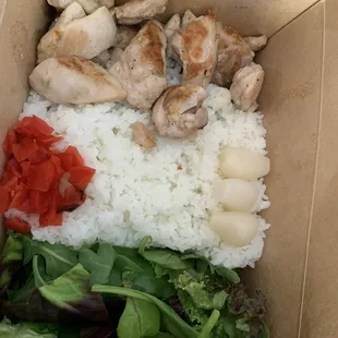 Chicken Bento