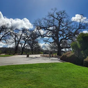 Beautiful and serene