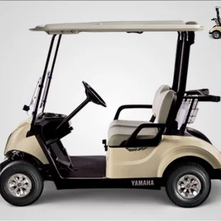 All new carts (2018)