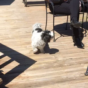 One of the welcoming committee members.