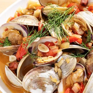 Littleneck Clams