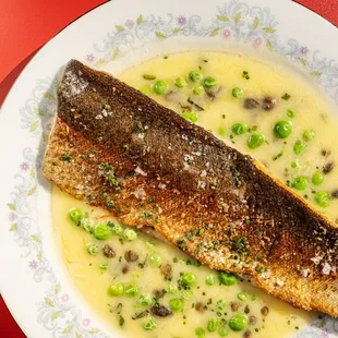 Rainbow Trout