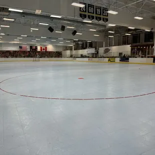 Rink 1