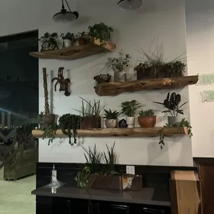 Anthropology look very industrial