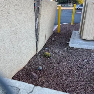 Where the residents party (and poo).